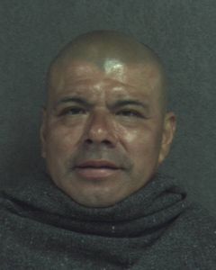 Guadalupe Juarez Arrest