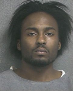 Heron Jacksoniii Arrest