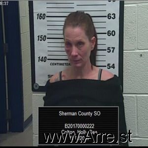 Holly Colton Arrest Mugshot