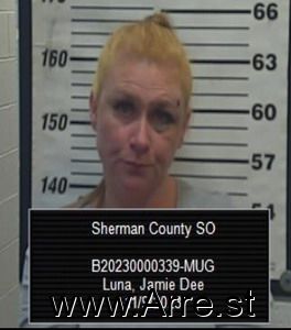 Jamie Luna Arrest