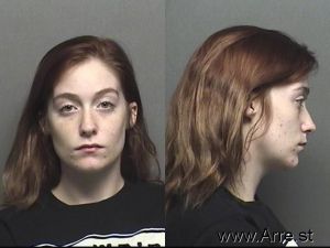 Katie Williams Arrest