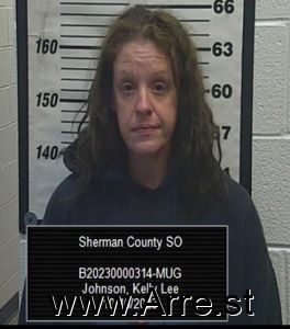 Kelly Johnson Arrest