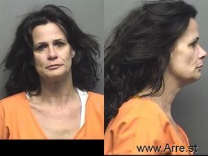 Lori Saey Arrest
