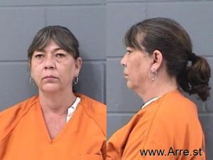 Lynne Sullivan Arrest Mugshot