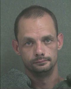 Matthew Steen Arrest