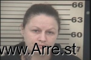 Michelle Prettyman Arrest Mugshot