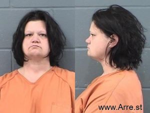 Megan Houston Arrest Mugshot