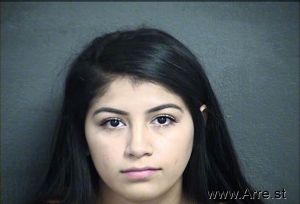 Melissa Navarro Arrest