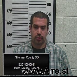 Michael Beltz Arrest Mugshot
