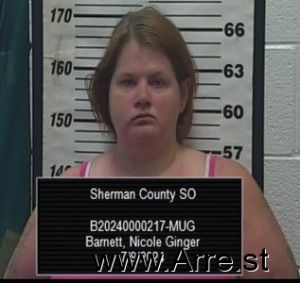 Nicole Barnett Arrest Mugshot