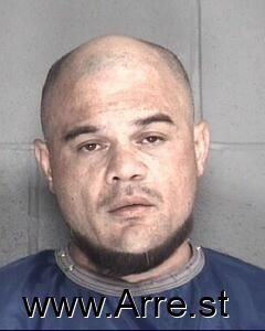 Richard Dado Arrest Mugshot