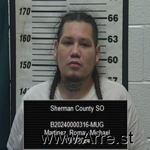 Roman Martinez Arrest Mugshot