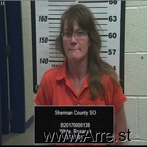 Rosanna White Arrest Mugshot