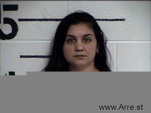 Stela Sava Arrest Mugshot