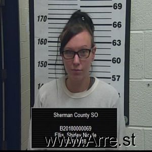 Shirley Ellis Arrest Mugshot