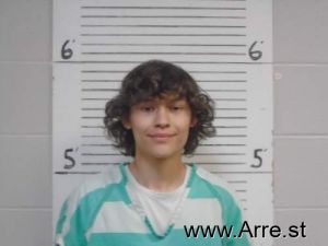 Skyler Lawrence Arrest Mugshot