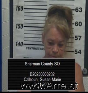 Susan Calhoun Arrest Mugshot