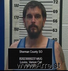 Vernon Lovins Arrest Mugshot