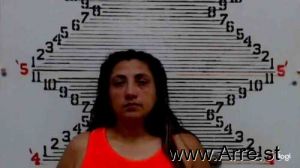 Yanira Vasquez-cambronero Arrest