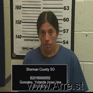 Yolanda Gonzales Arrest Mugshot