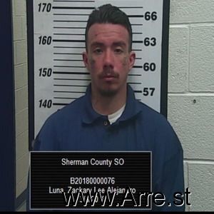Zachary Luna Arrest Mugshot