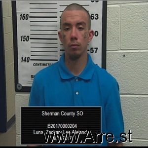 Zachary Luna Arrest Mugshot