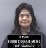 Alexa Garcia Arrest Mugshot Finney 20231018