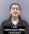 Janae Riojas Arrest Mugshot Finney 20241011