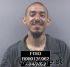 Jessie Borrego Arrest Mugshot Finney 20220724