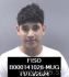 Kelvin Orellana-Santos Arrest Mugshot Finney 20241115