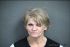 Marcia Gardner Arrest Mugshot Wyandotte 2/3/2017