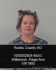 Paige Wilkerson Arrest Mugshot Rooks 20240608