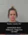 Paige Wilkerson Arrest Mugshot Rooks 20241028