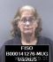 Pamela Butler Arrest Mugshot Finney 20250106