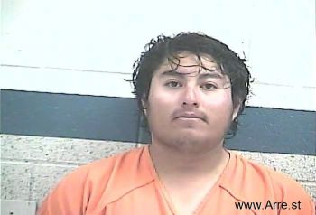 Adelfo Nmn Hernandez-medrano Mugshot