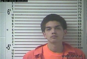 Alberto Nmn Delgado Jr Mugshot