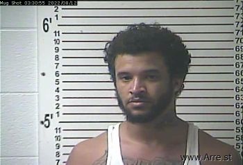 Alexander Mccauley Lee Mugshot