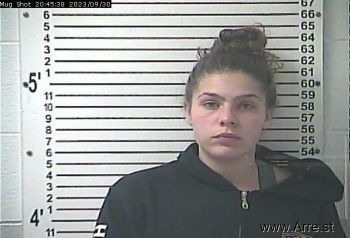 Alexis Jean Austin Mugshot