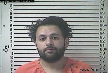 Ali Edward Dana Mugshot