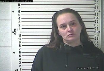 Alison Nicole Sensenig Mugshot