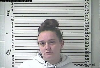 Alison Nicole Sensenig Mugshot