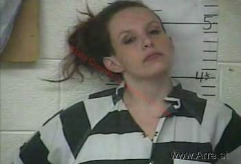 Allison  Wells Mugshot