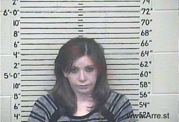 Amanda G Adkins Mugshot