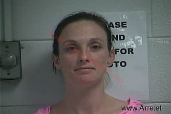 Amanda F Bailey Mugshot