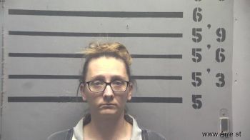 Amanda Joann Ballow Mugshot