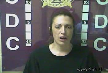 Amanda Lynn Barnes Mugshot