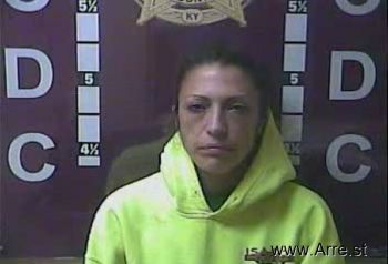 Amanda Lynn Barnes Mugshot