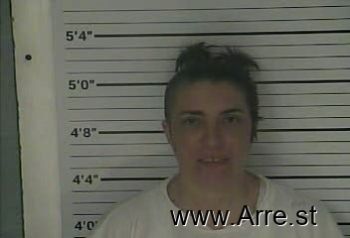 Amanda Lynn Barnes Mugshot