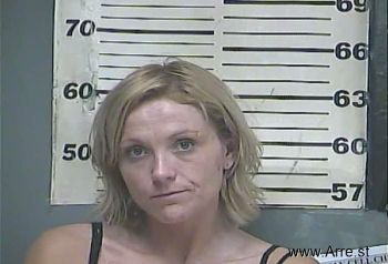 Amanda Renee Boggs Mugshot