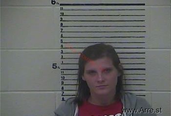 Amanda  Brooks Mugshot